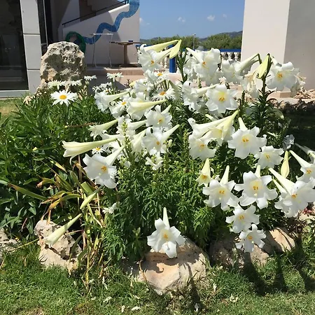 Apartament Davinci's Charaki